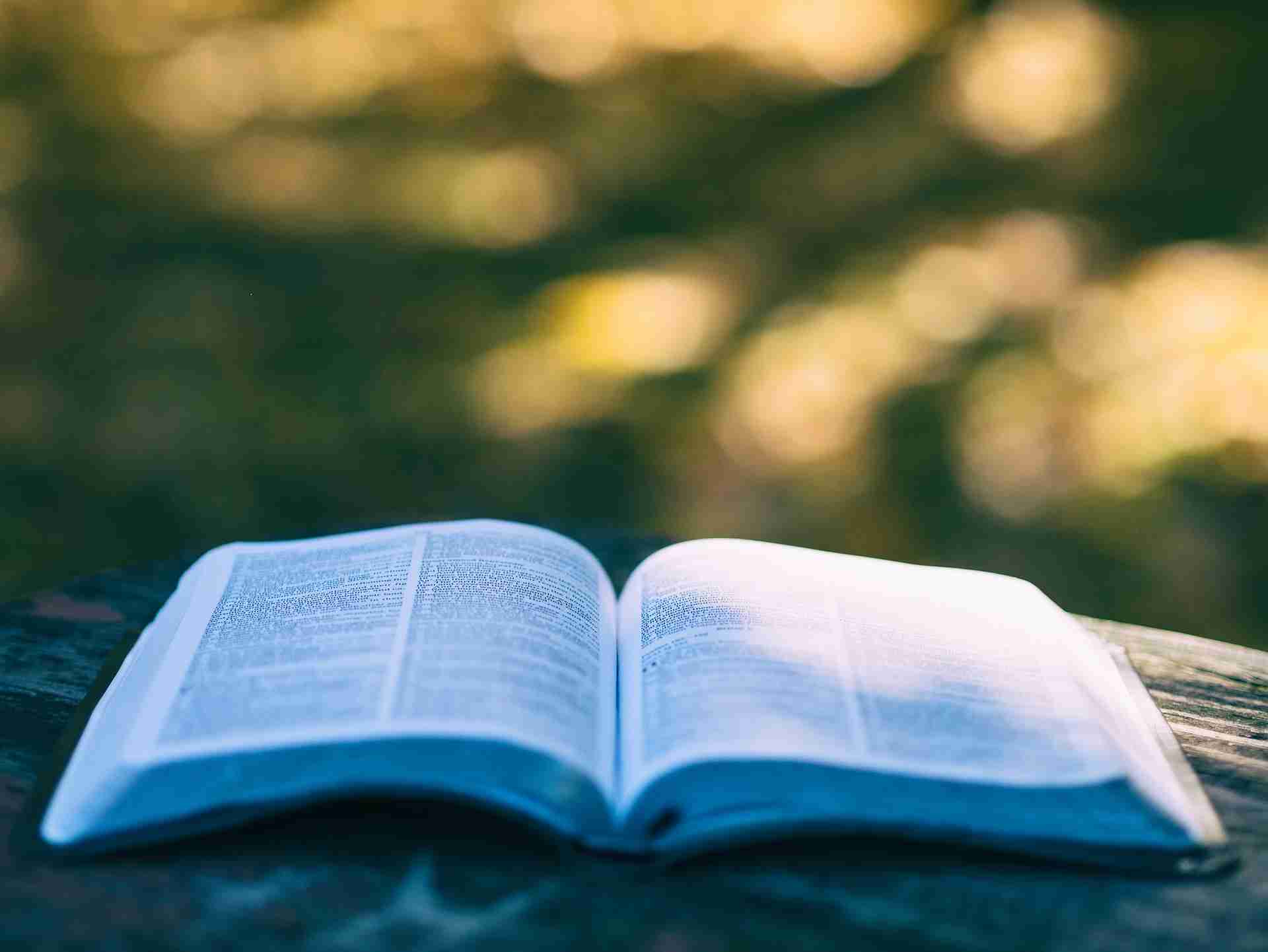 aufgeschlagenes Buch